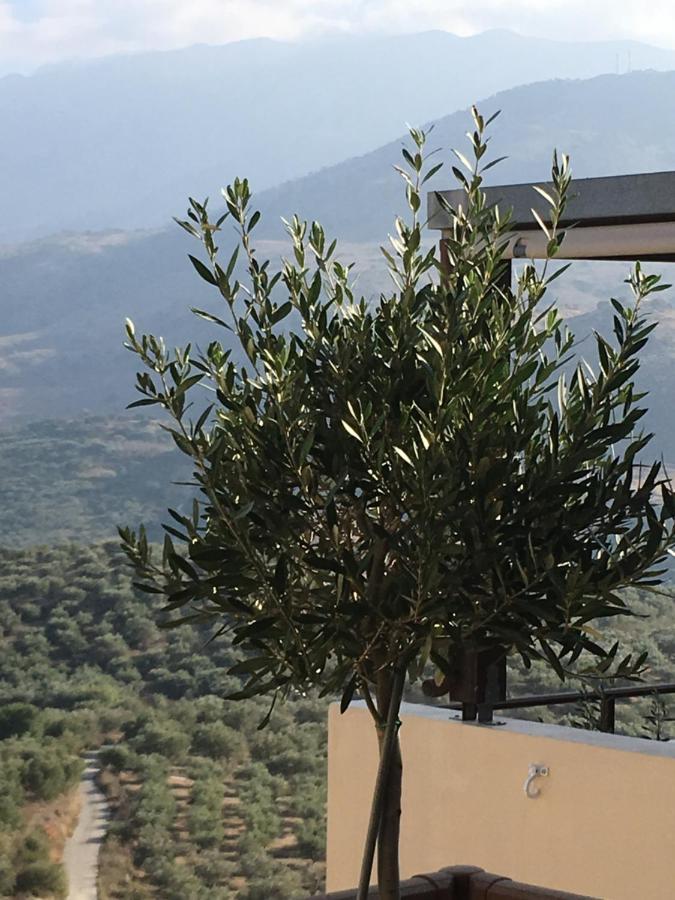 Marjoram - Morfi Village Exopoli المظهر الخارجي الصورة